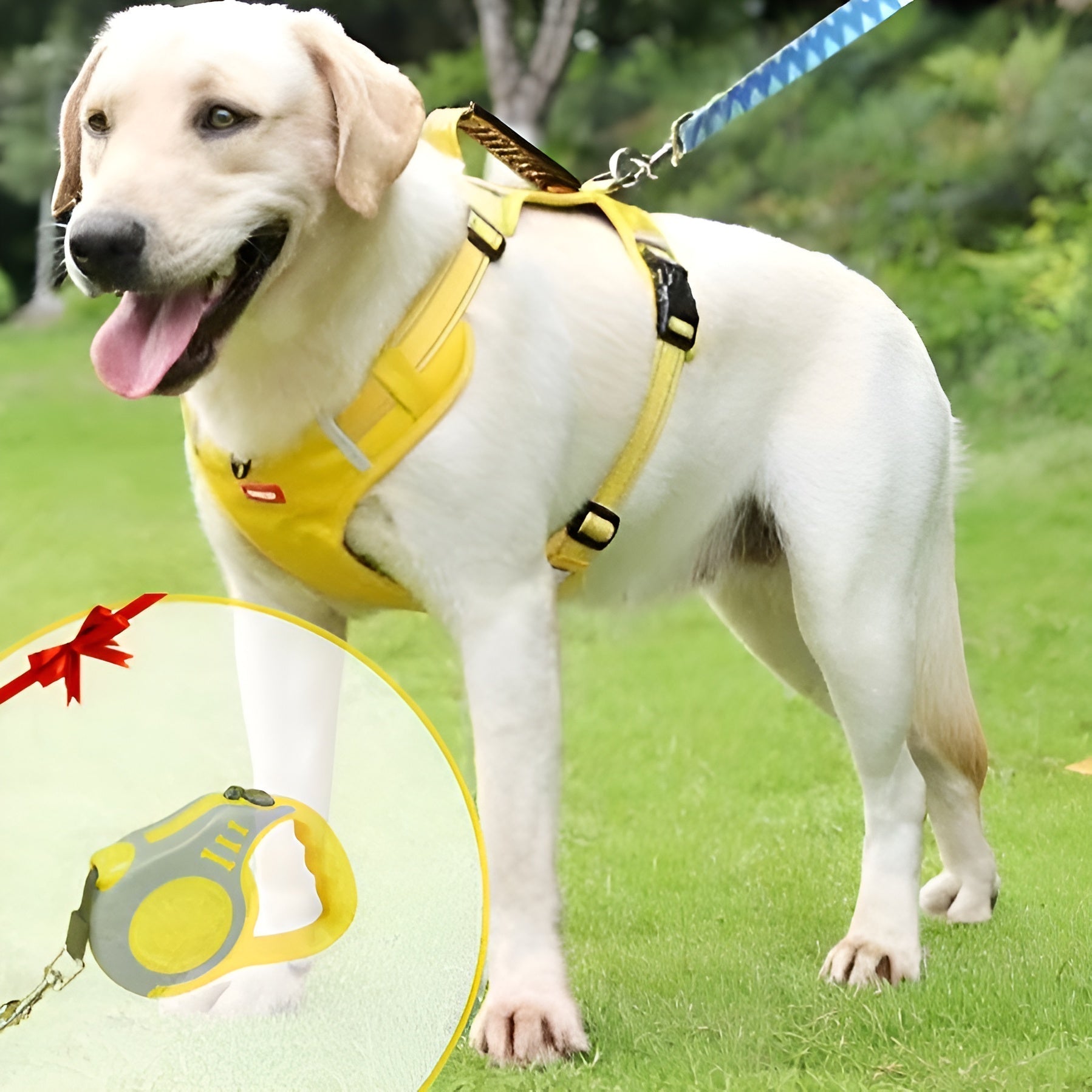 PawEase Soft Hundegeschirr | Komfort, Sicherheit und Kontrolle