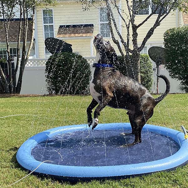 DogSplash | Lange lebe der Spaß für deinen Vierbeiner!