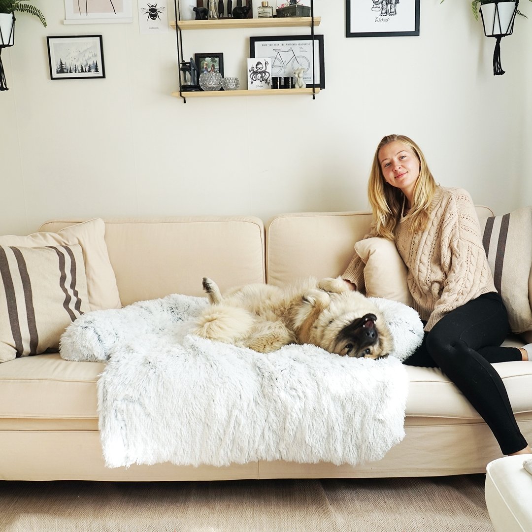 PawsyPillow | Waschbares, warmes und wasserdichtes Herbstkissen für deinen Hund