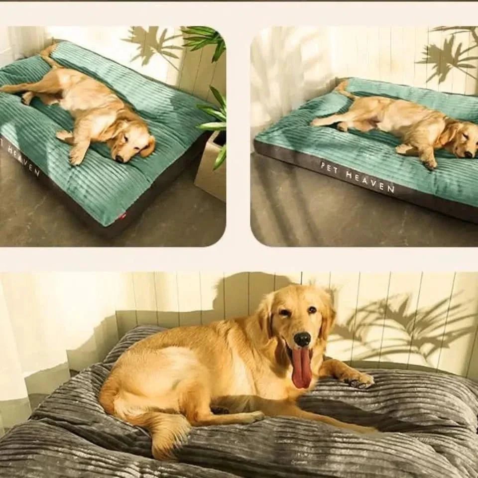 FlauschNest Orthopädisches Hundebett – Kuschelig & Stützend für erholsame Nächte