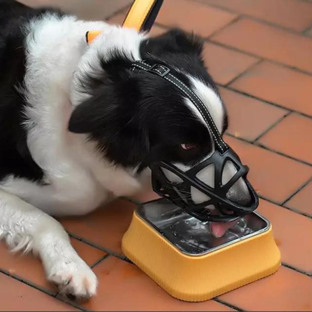SafeBark • Maulkorb für Hunde