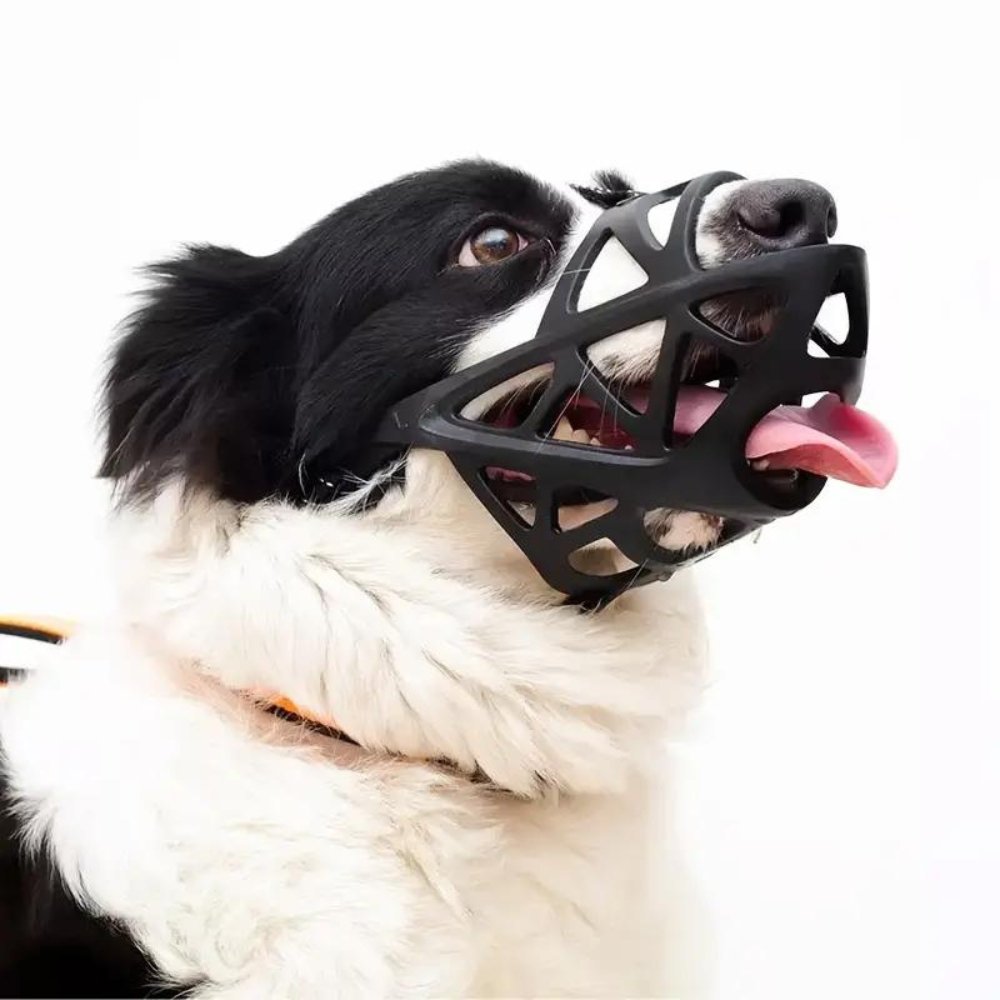 SafeBark • Maulkorb für Hunde