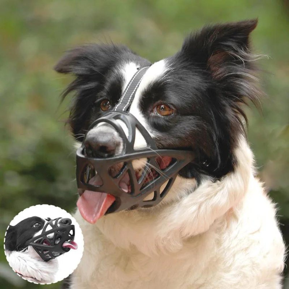 SafeBark • Maulkorb für Hunde