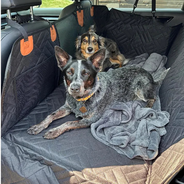 ComfortCarrier | Wo Autoschutz und Komfort für deinen Hund aufeinandertreffen | +Sichere Hundeleine
