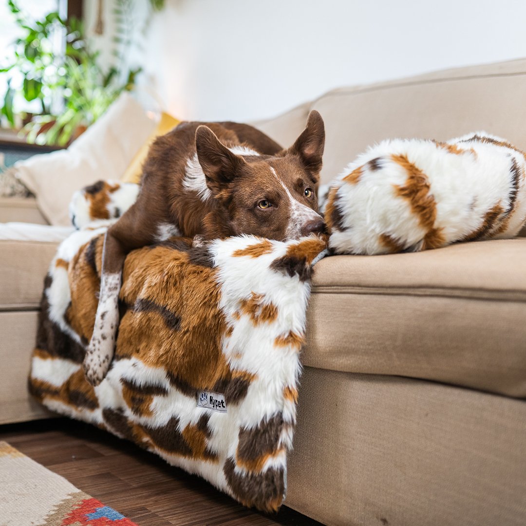PawsyPillow | Waschbares, warmes und wasserdichtes Herbstkissen für deinen Hund