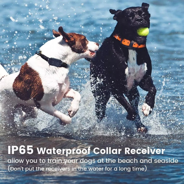 Norvo E-Halsband für Hundetraining – Sicher, Effektiv, Wasserdicht