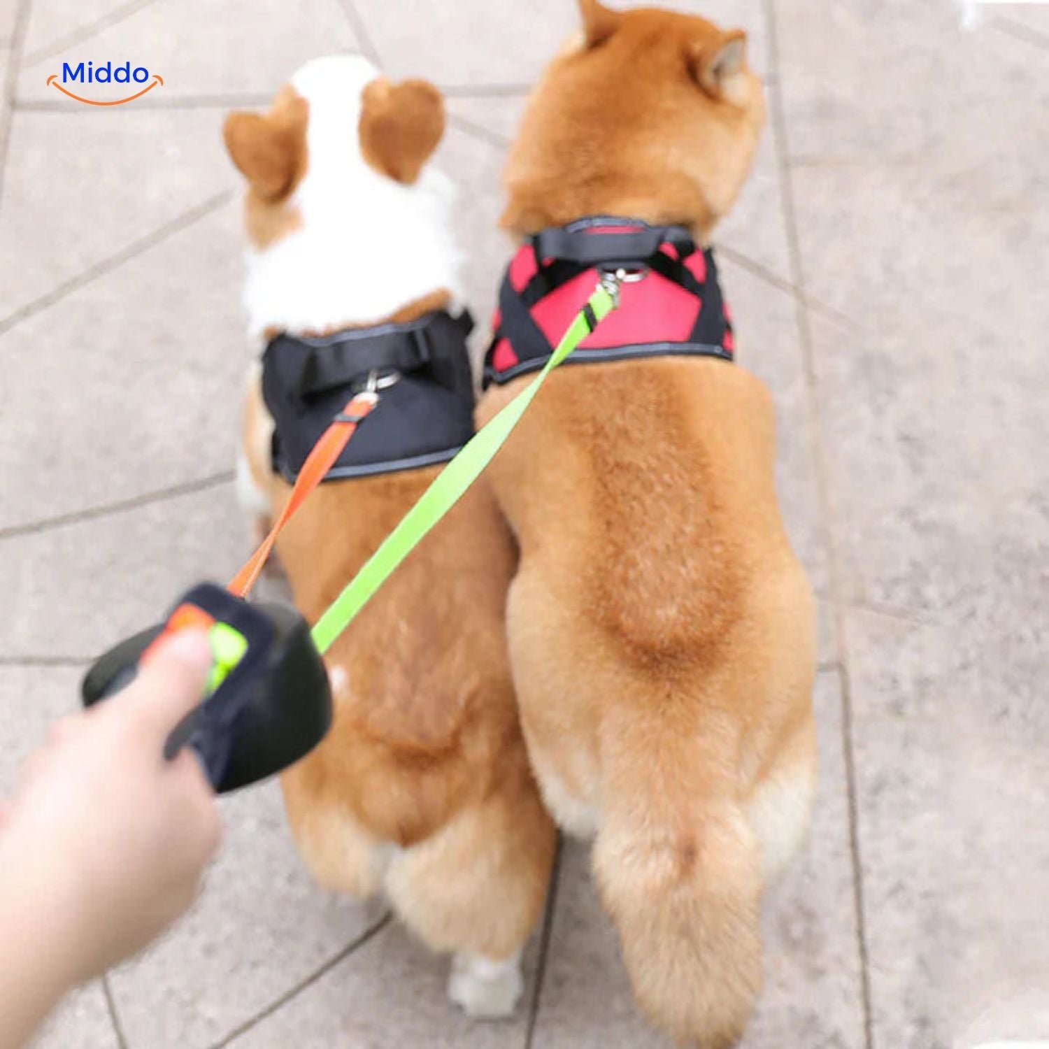HundeHarmonie Leine | 2-in-1 einziehbare Leine für kleine und mittelgroße Hunde