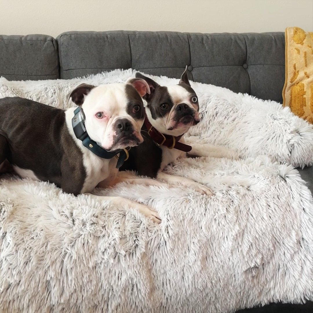 PawsyPillow | Waschbares, warmes und wasserdichtes Herbstkissen für deinen Hund
