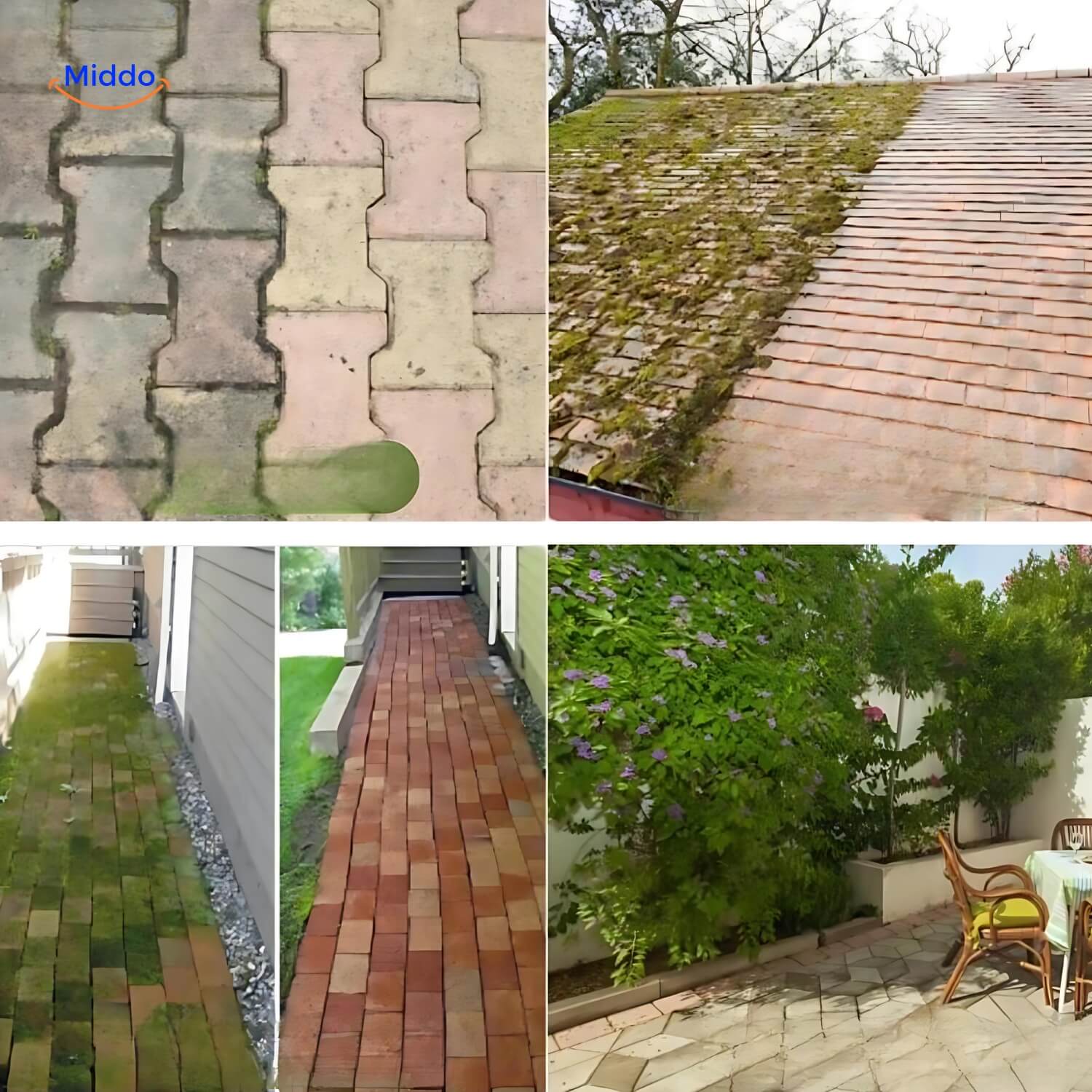 WeedMaster Pro | Nahtlose Unkrautbürste für mühelose Rasen- und Gartenpflege