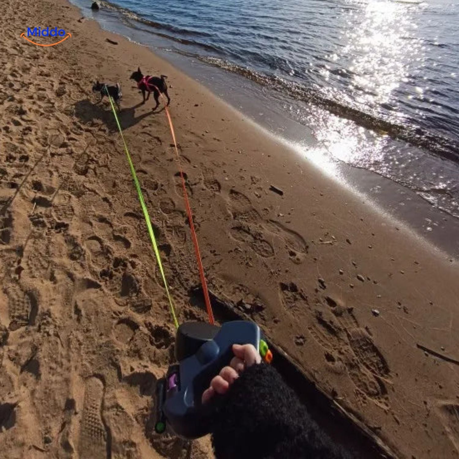 HundeHarmonie Leine | 2-in-1 einziehbare Leine für kleine und mittelgroße Hunde